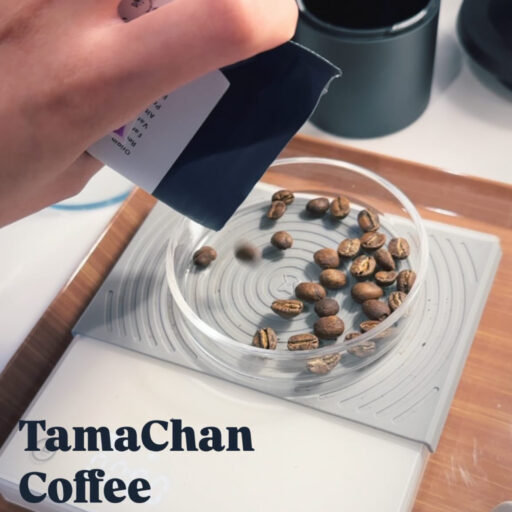 【コーヒー初心者必見】初心者が道具を揃える前にやること｜まずは“好み”を見つけましょう